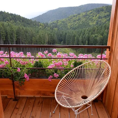 Tatil Evi Les D'adelspach - 4 Etoiles Nature & Aubure
