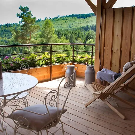 Les D'adelspach - 4 Etoiles Nature & Feriehus Aubure