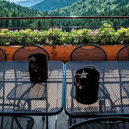 Les D'adelspach - 4 Etoiles Nature & Tatil Evi Aubure