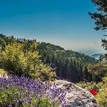 بيت للعطل Les D'adelspach - 4 Etoiles Nature &