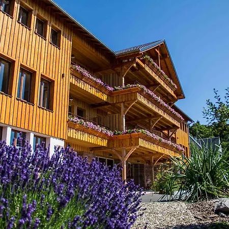 Les D'adelspach Gîtes&spa En Alsace Hébergement de vacances Aubure