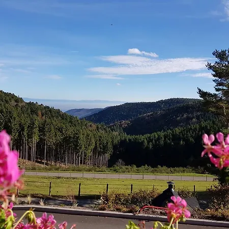 Les D'adelspach Gîtes&spa En Alsace Hébergement de vacances Aubure