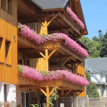 Les D'adelspach Gîtes&spa En Alsace * Aubure